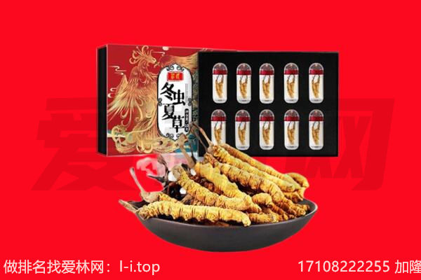 木垒县回收虫草.jpg